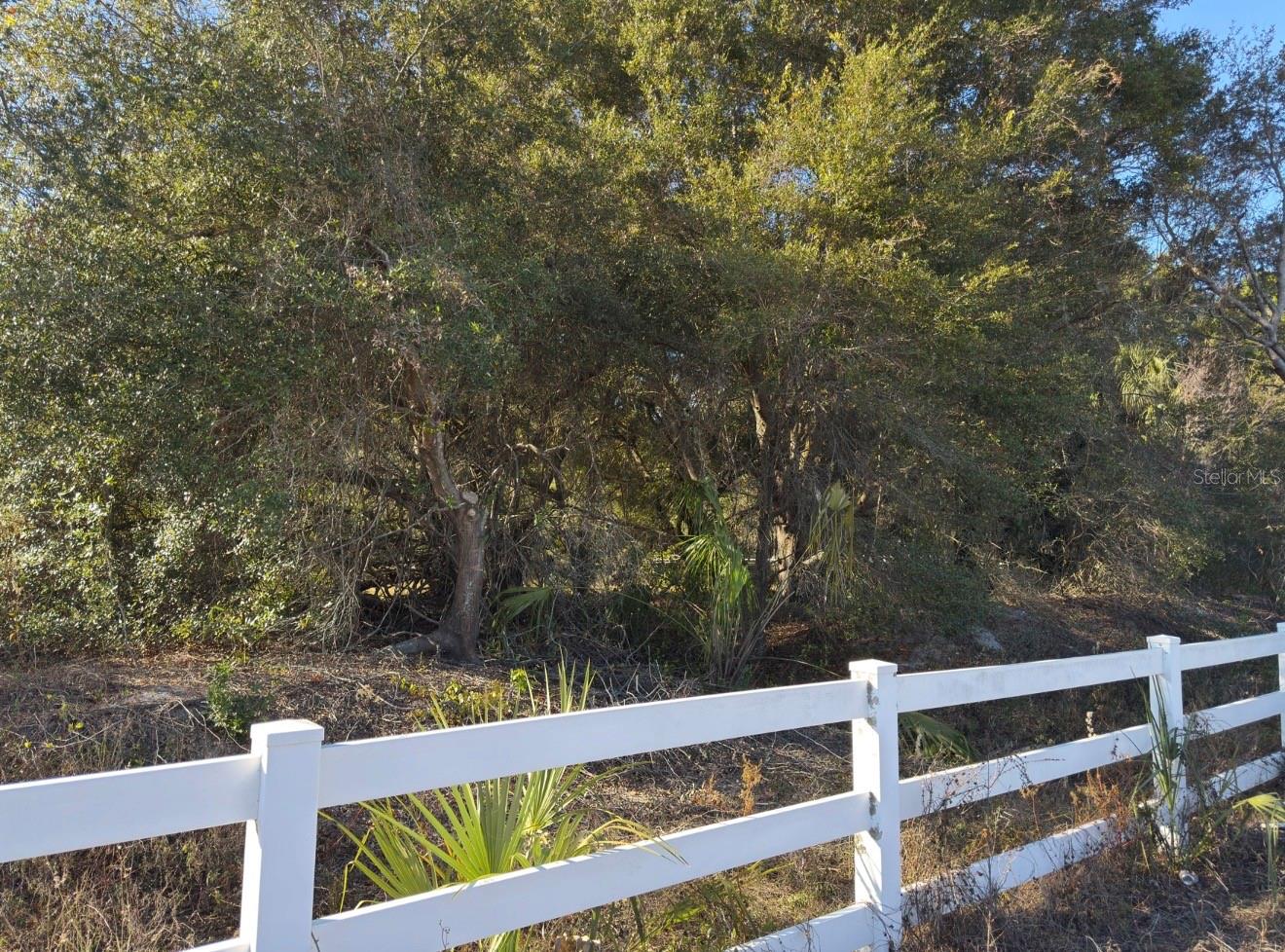 24939 COUNTY ROAD 33, GROVELAND, FL — photo 70
