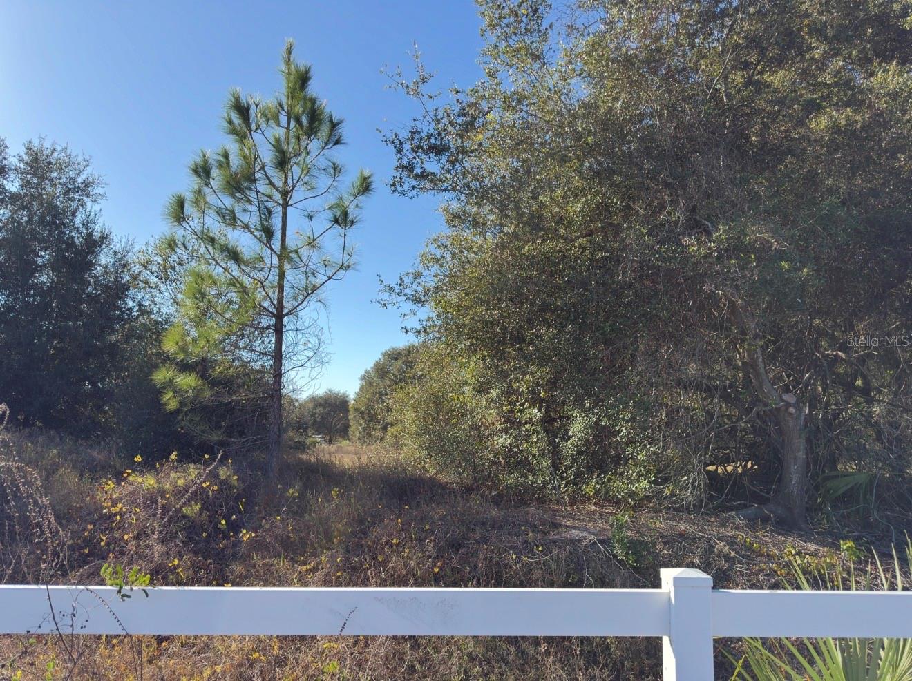 24939 COUNTY ROAD 33, GROVELAND, FL — photo 71