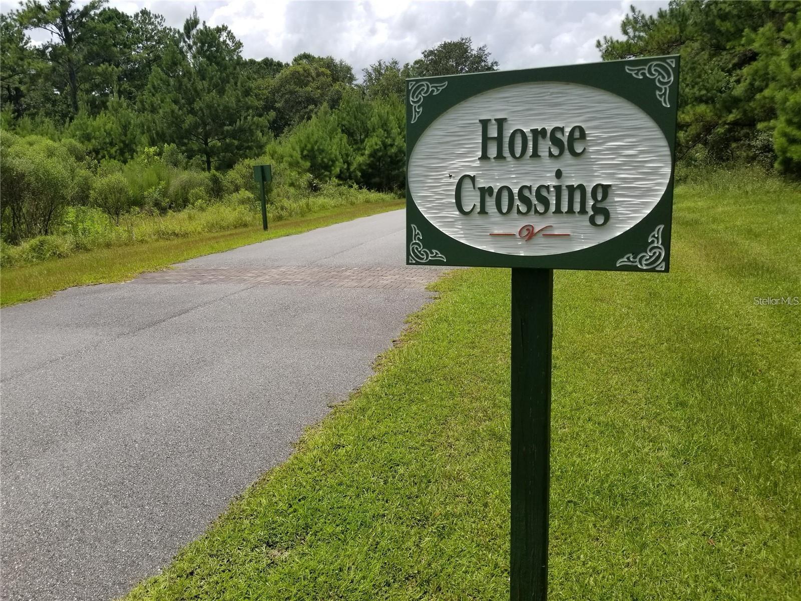 TBD NW 148 LN, WILLISTON, FL — photo 4