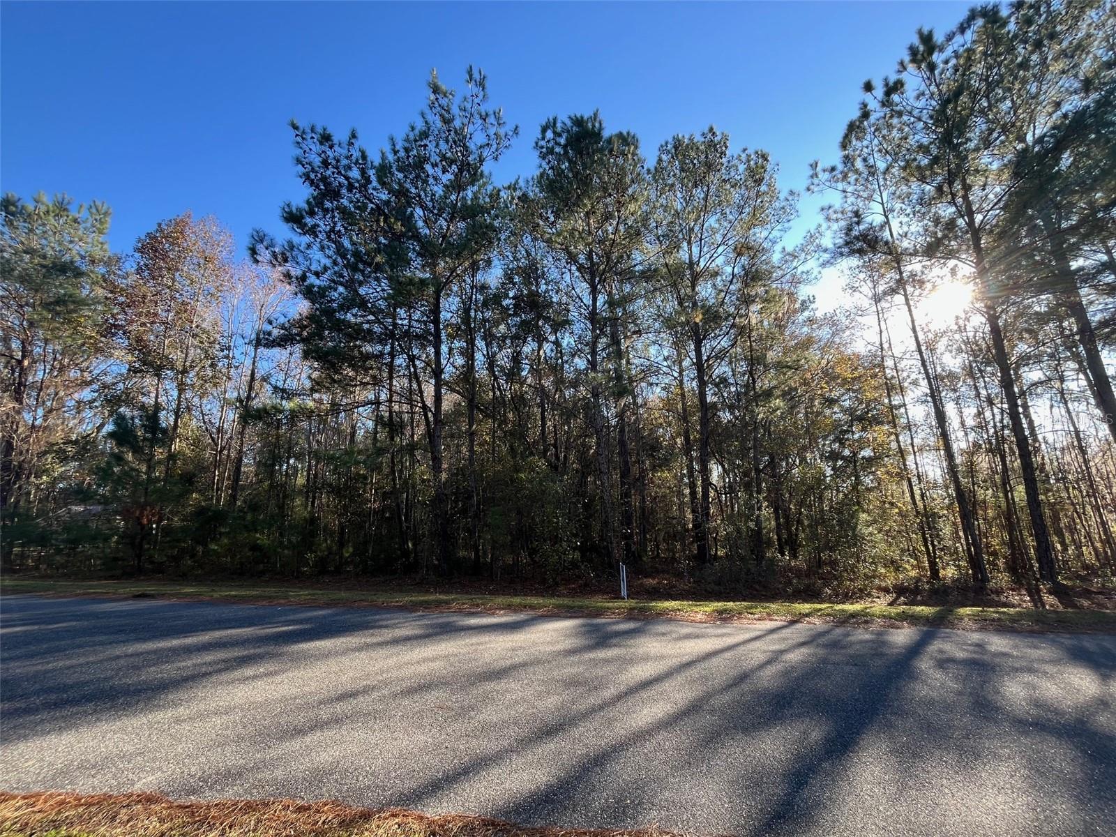 TBD NW 148 LN, WILLISTON, FL — photo 2