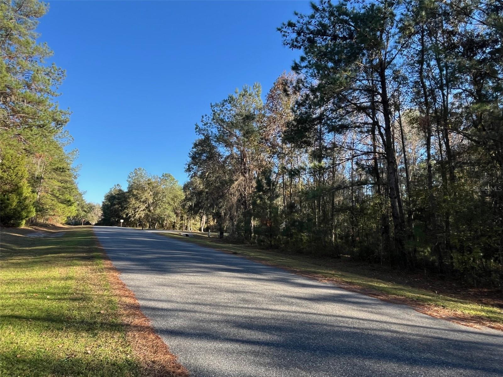 TBD NW 148 LN, WILLISTON, FL — photo 3