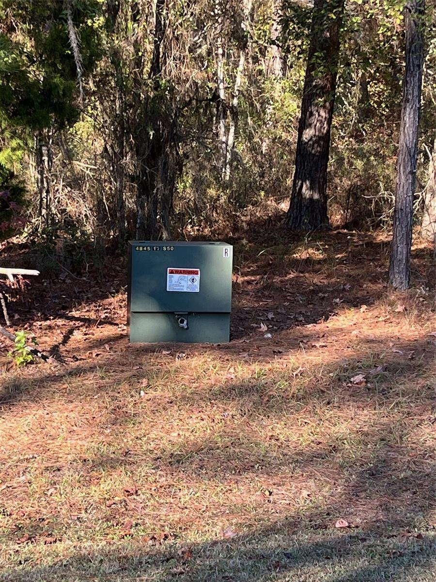TBD NW 148 LN, WILLISTON, FL — photo 10