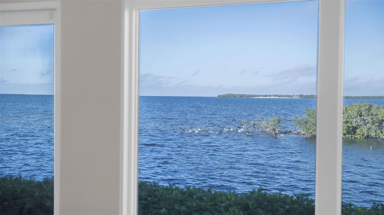 5791 WESTSHORE DR, NEW PORT RICHEY, FL — photo 90
