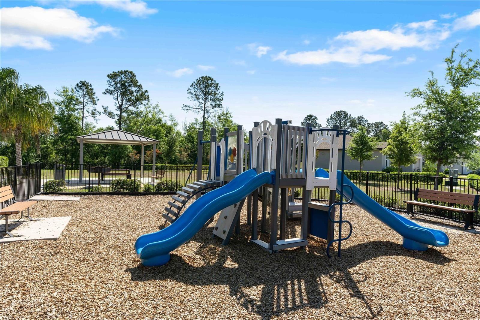 17411 MILLION LAKES CT, CLERMONT, FL — photo 35