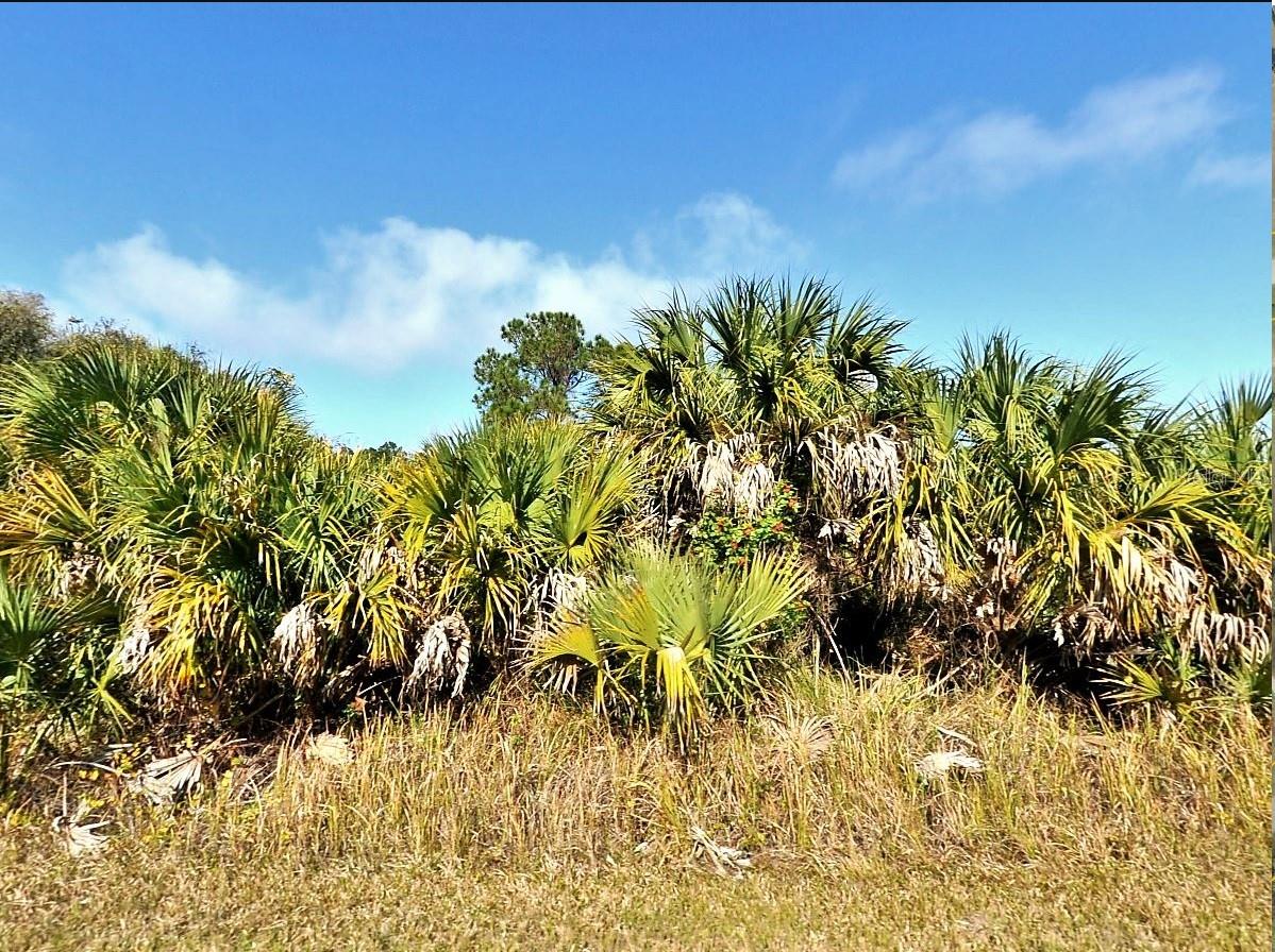 00 BANNOCK CIR, NORTH PORT, FL — photo 2