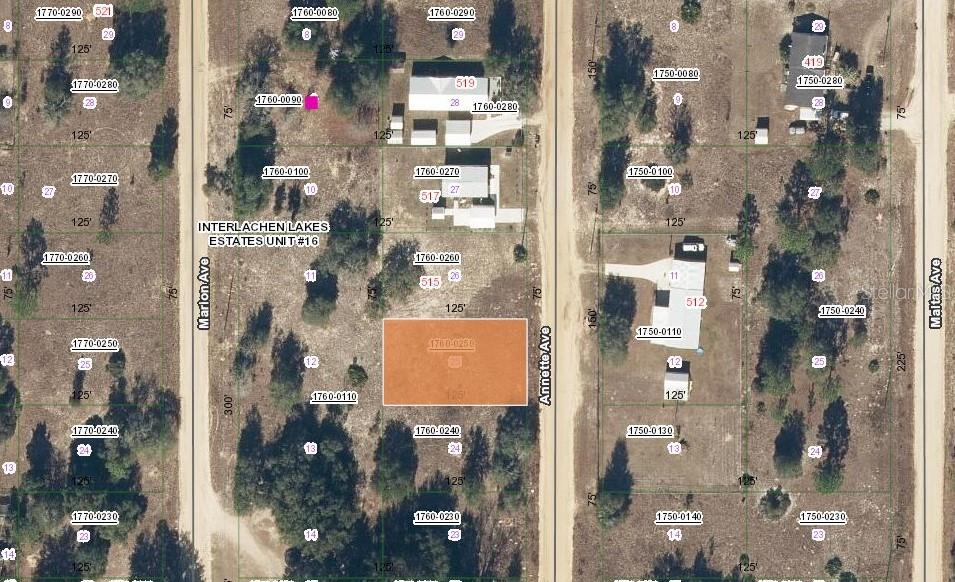 513 ANNETTE AVE, INTERLACHEN, FL