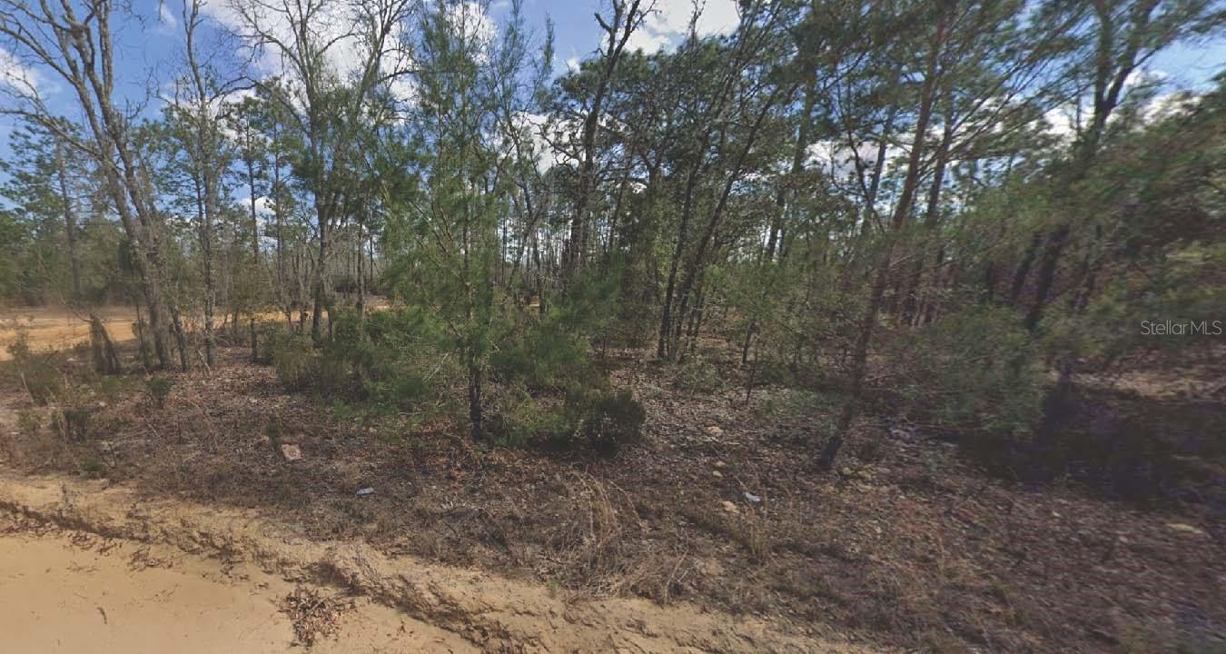 133 LAKE LUCY CT, INTERLACHEN, FL