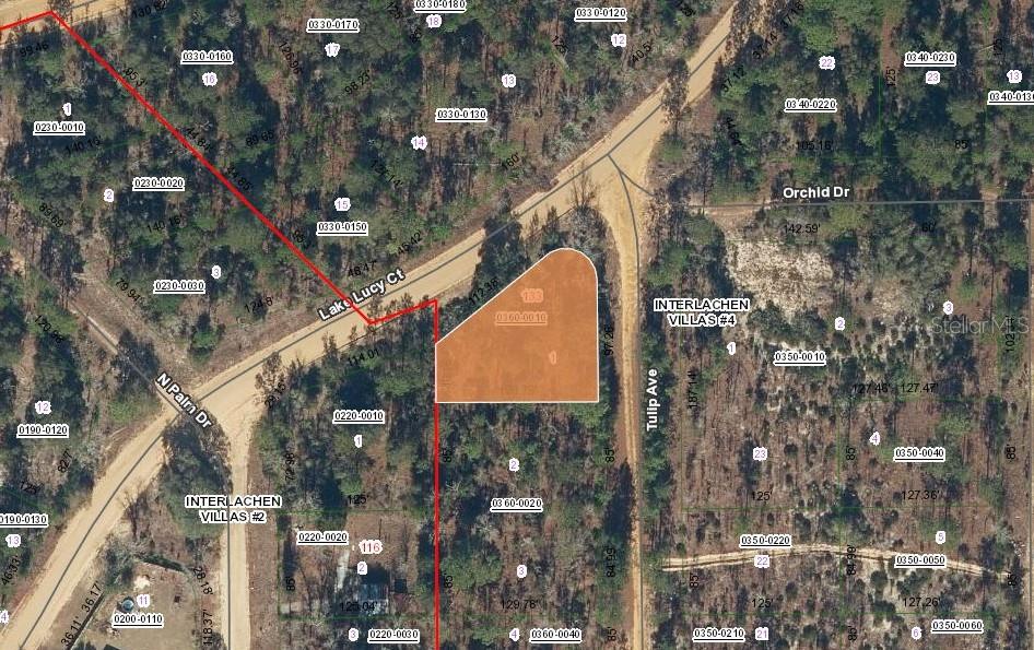 133 LAKE LUCY CT, INTERLACHEN, FL — photo 3