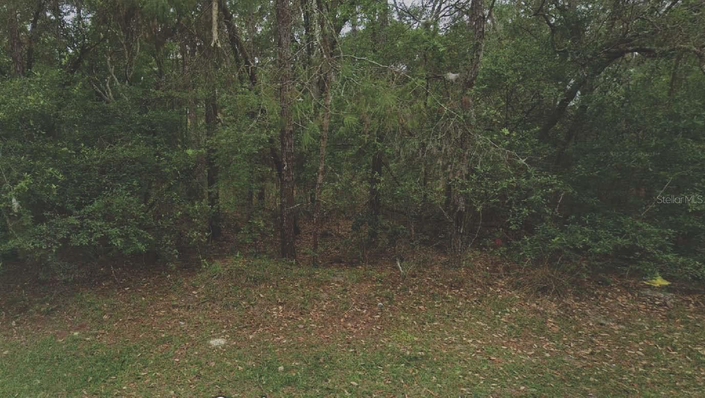 105 RHODE ISLAND AVE, SATSUMA, FL