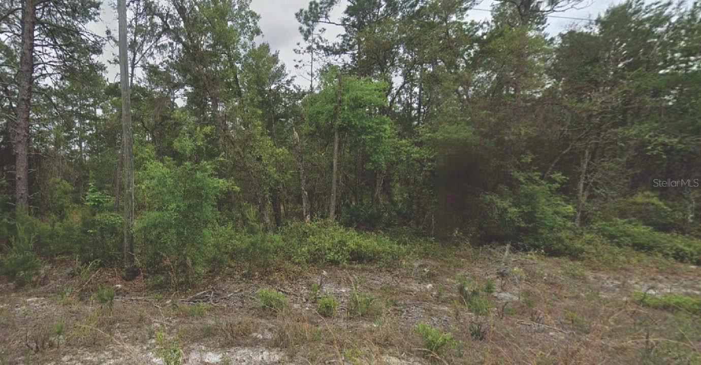 120 NEW YORK AVE, SATSUMA, FL
