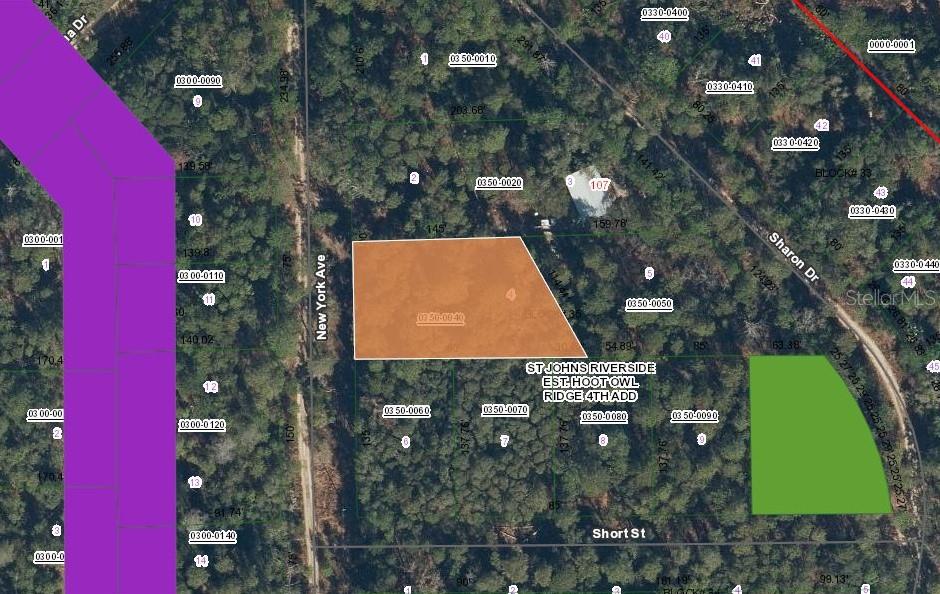 120 NEW YORK AVE, SATSUMA, FL — photo 3
