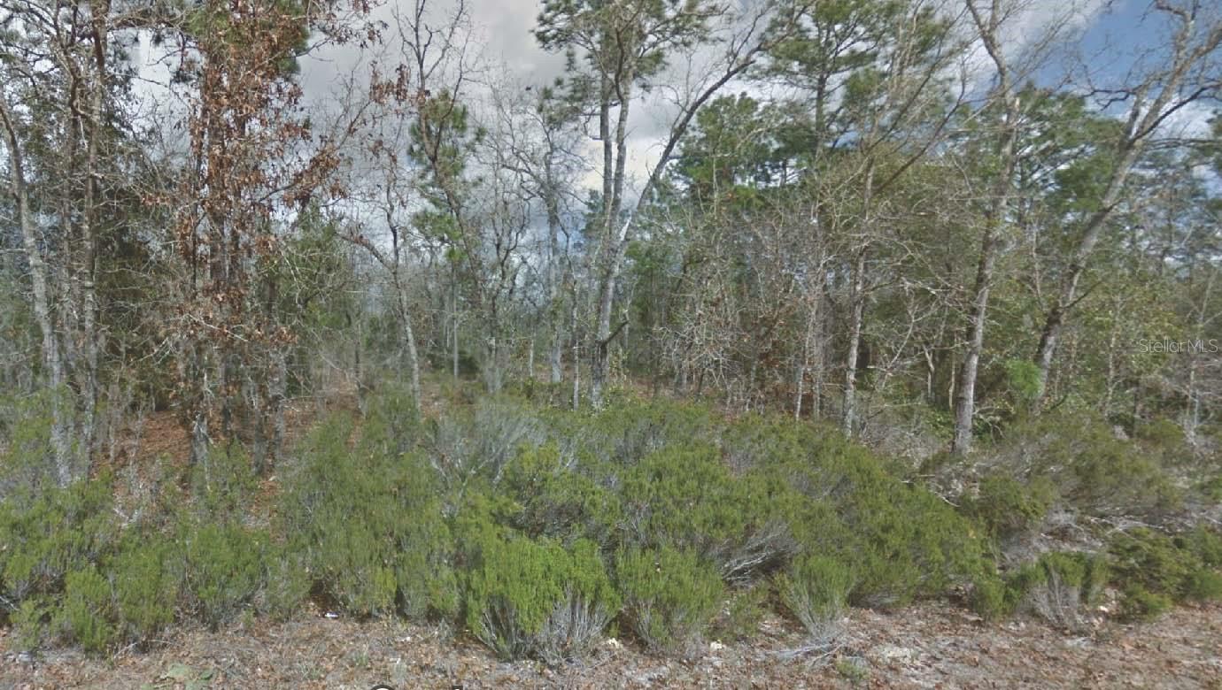 217 CYPRESS ST, INTERLACHEN, FL