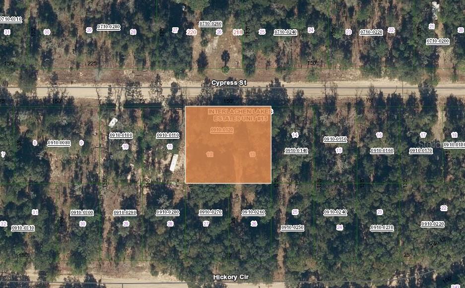 217 CYPRESS ST, INTERLACHEN, FL — photo 3