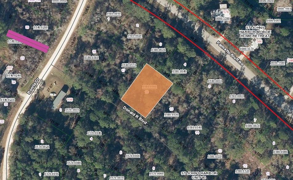 104 DONALD R BLVD, PALATKA, FL — photo 3