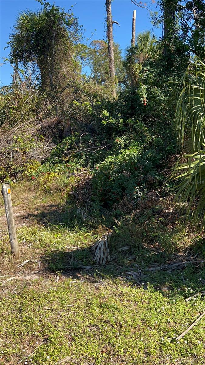 EASTER TER, NORTH PORT, FL