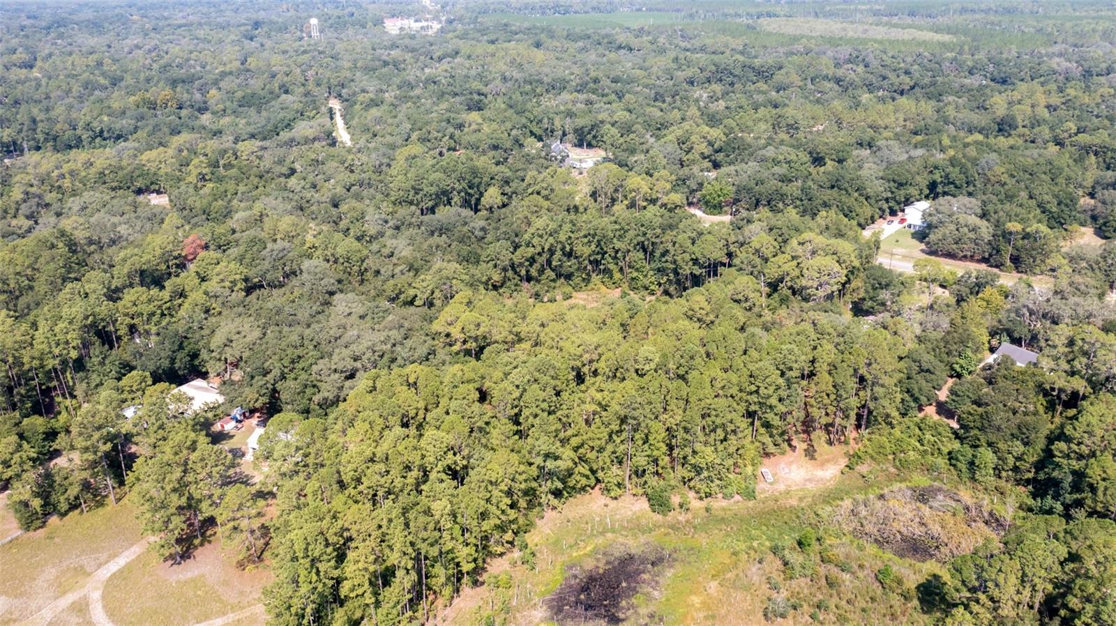 101 ASHLEY LAKE DR, MELROSE, FL — photo 13