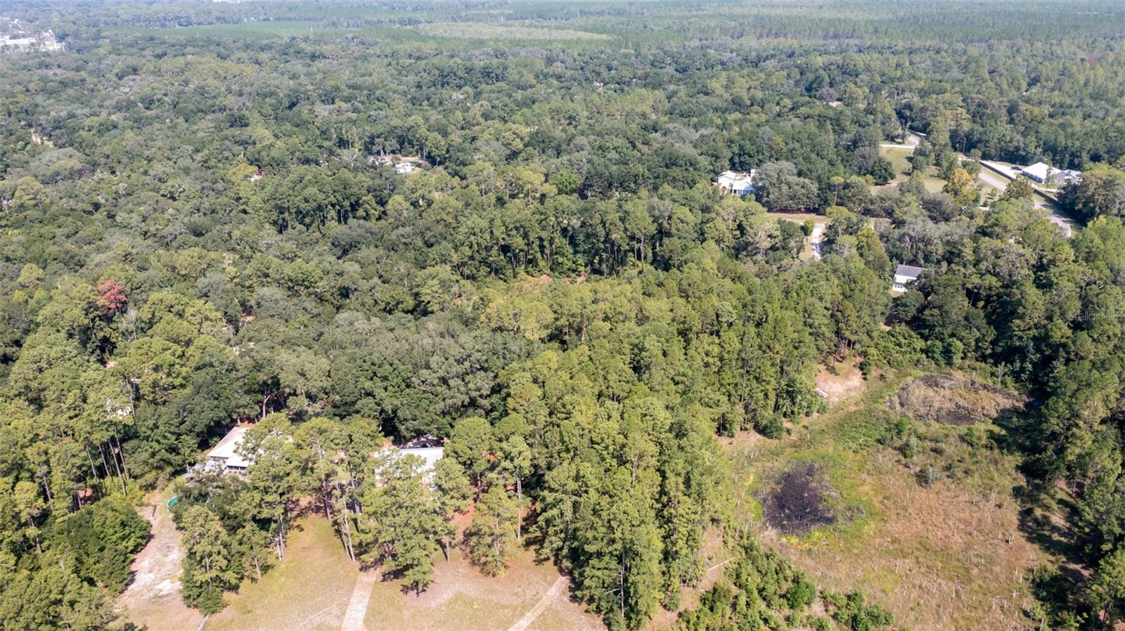 101 ASHLEY LAKE DR, MELROSE, FL — photo 15