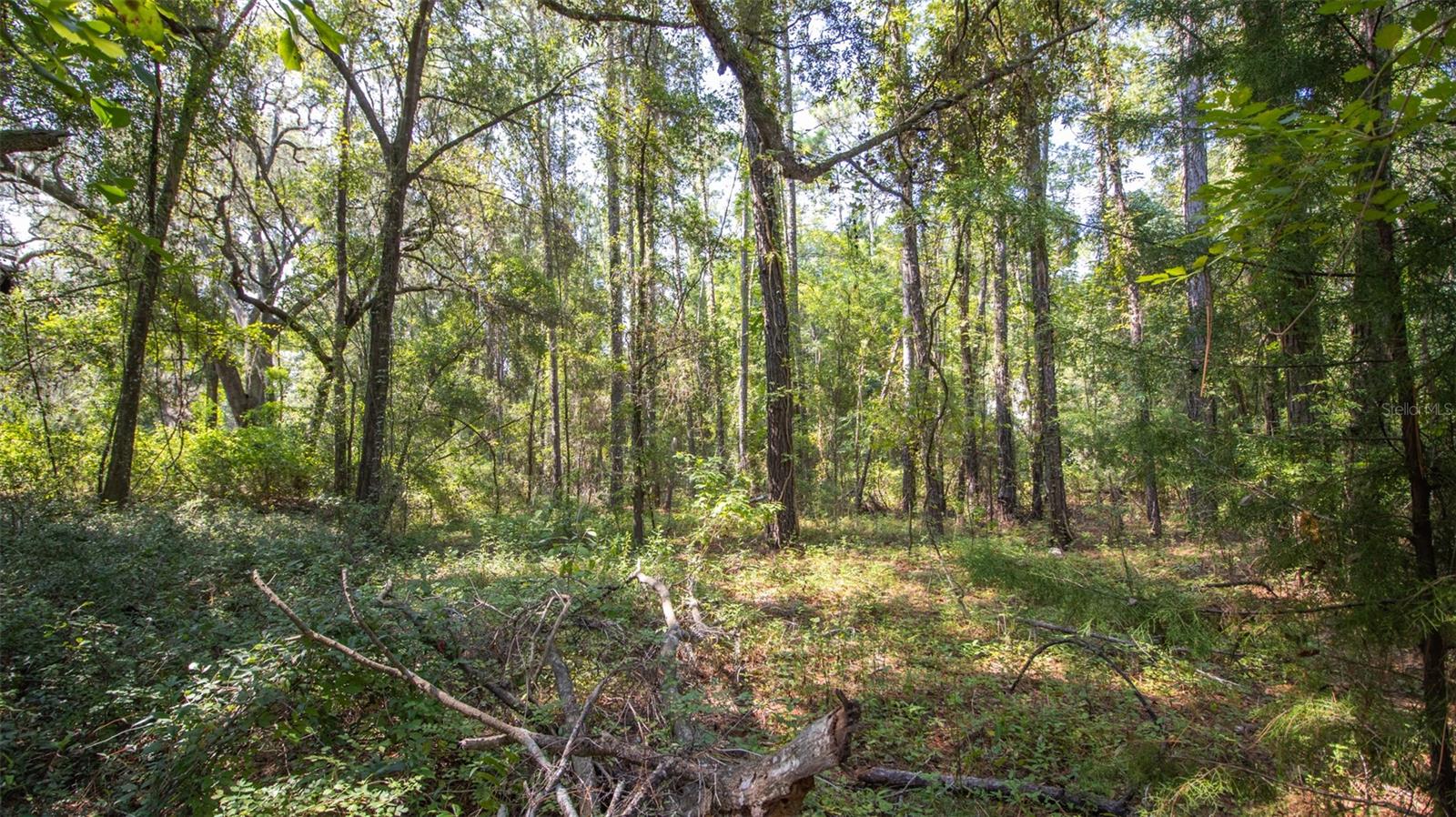 101 ASHLEY LAKE DR, MELROSE, FL — photo 24