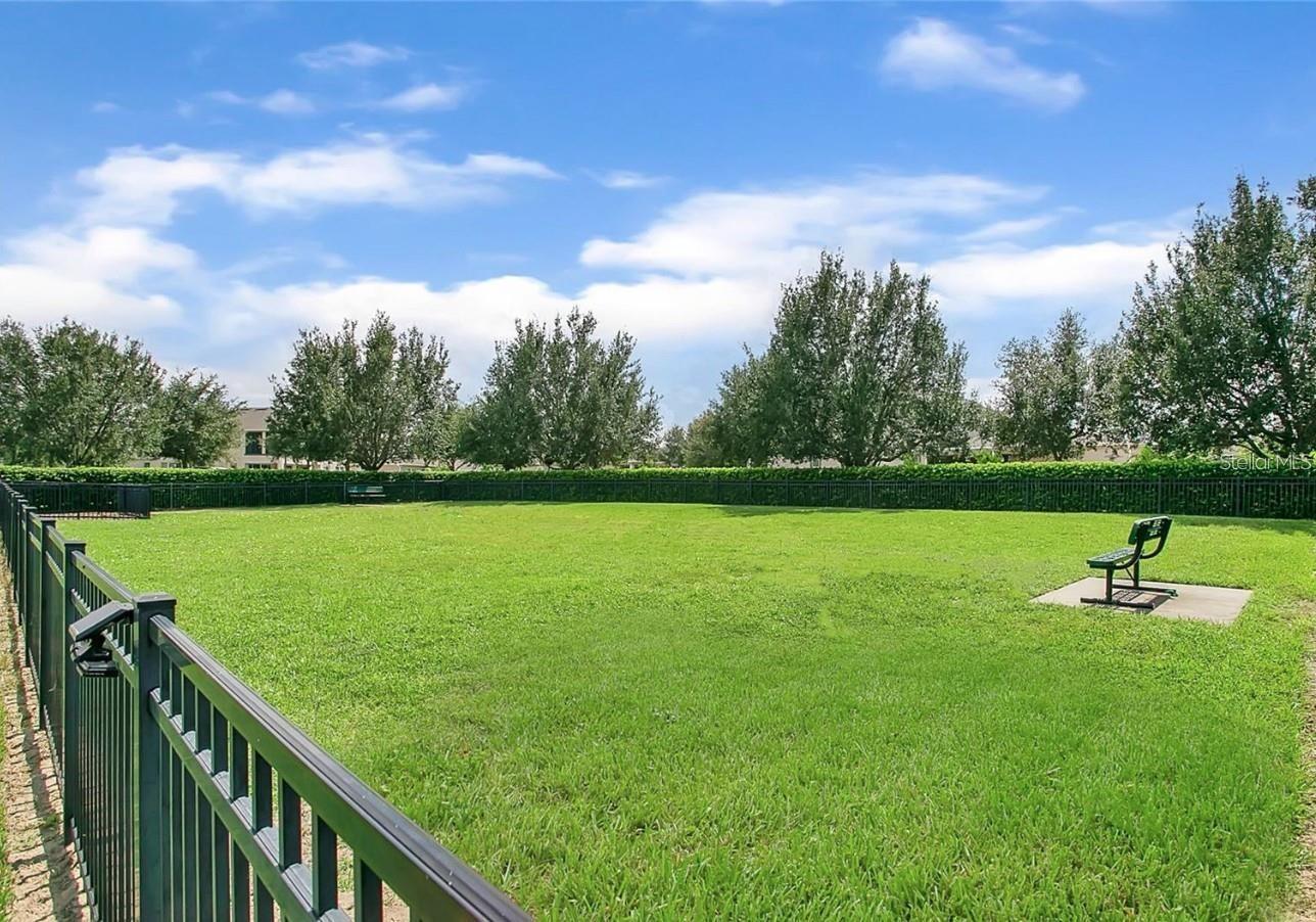 15755 SWEET LIMETTA DR, WINTER GARDEN, FL — photo 37