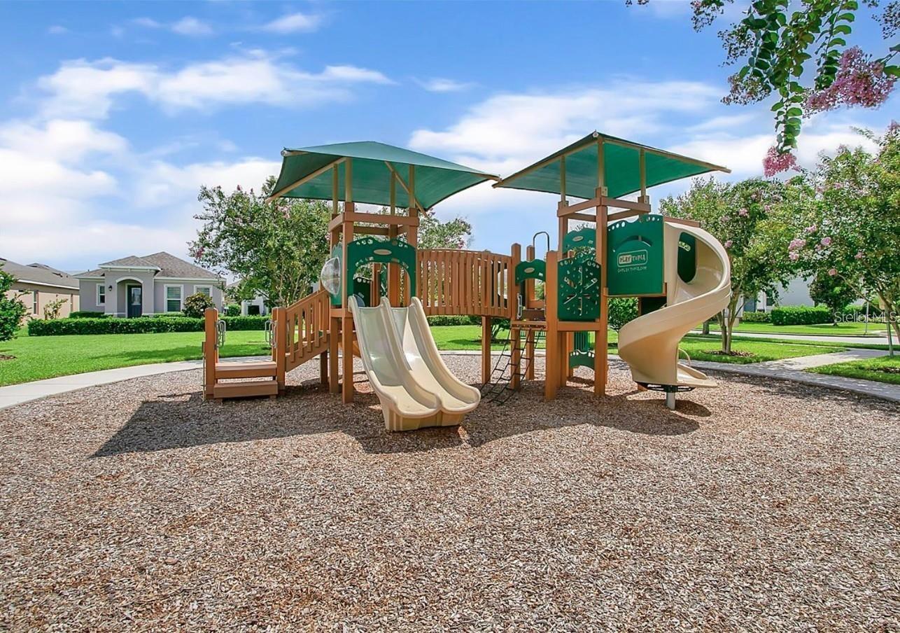 15755 SWEET LIMETTA DR, WINTER GARDEN, FL — photo 38