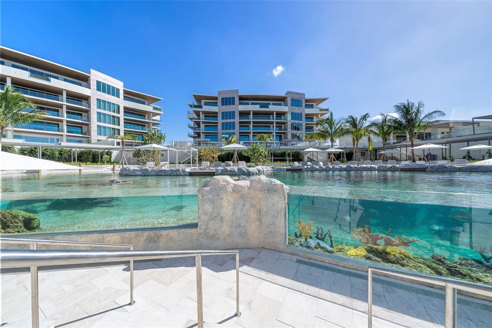 1591 GULF OF MEXICO DR #410, LONGBOAT KEY, FL — photo 39