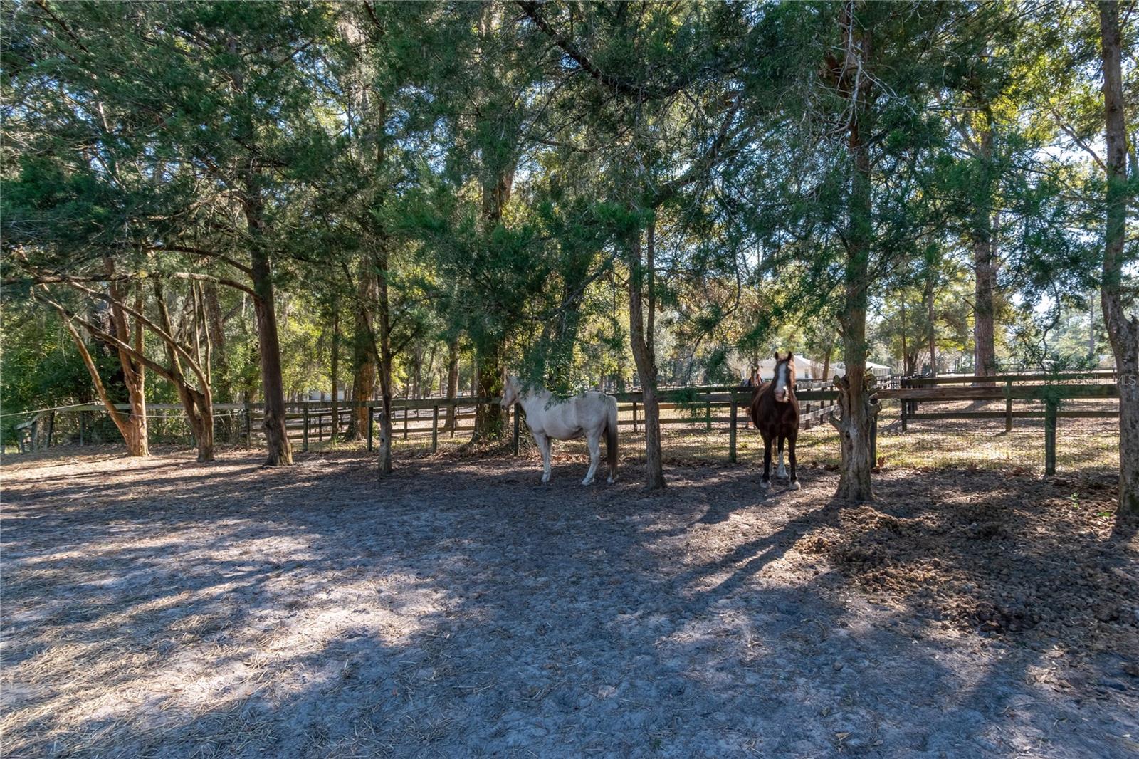 26 WOOD RIDGE DR, OCALA, FL — photo 42
