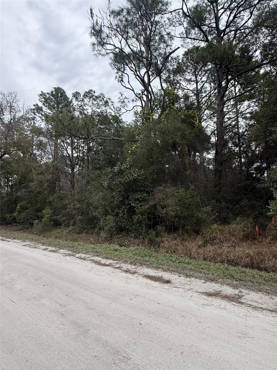 1149 6TH AVE, DELAND, FL