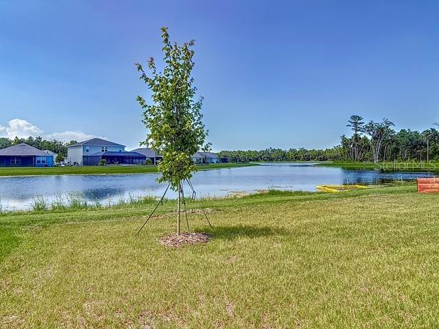 2219 LAKE PRESERVE CIR, NEW SMYRNA BEACH, FL — photo 9