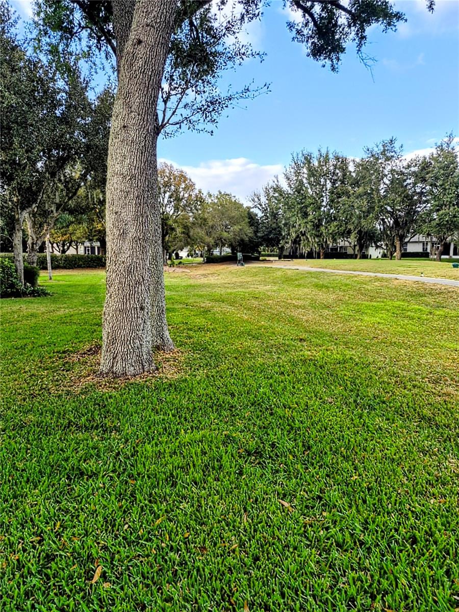 26822 BULL RUN, LEESBURG, FL — photo 10