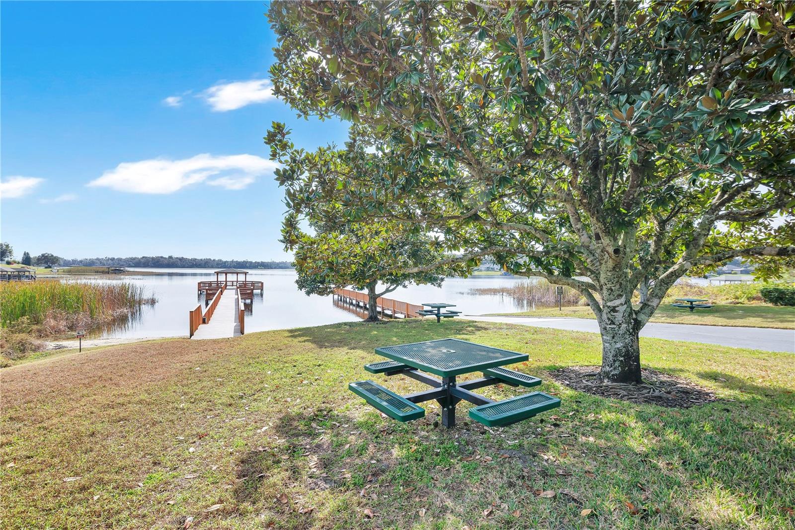 17318 PROMENADE DR #19-6, CLERMONT, FL — photo 52