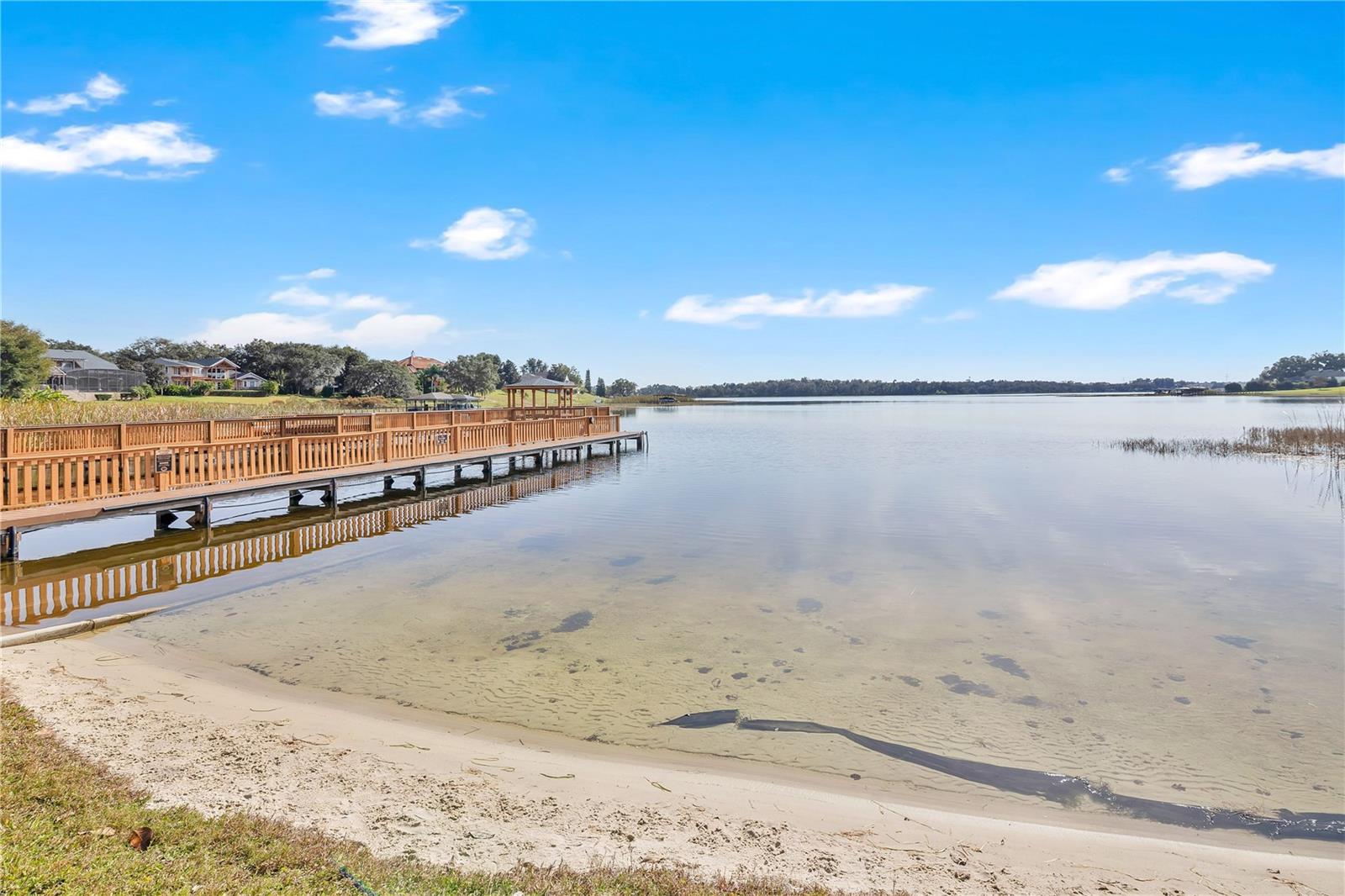 17318 PROMENADE DR #19-6, CLERMONT, FL — photo 59