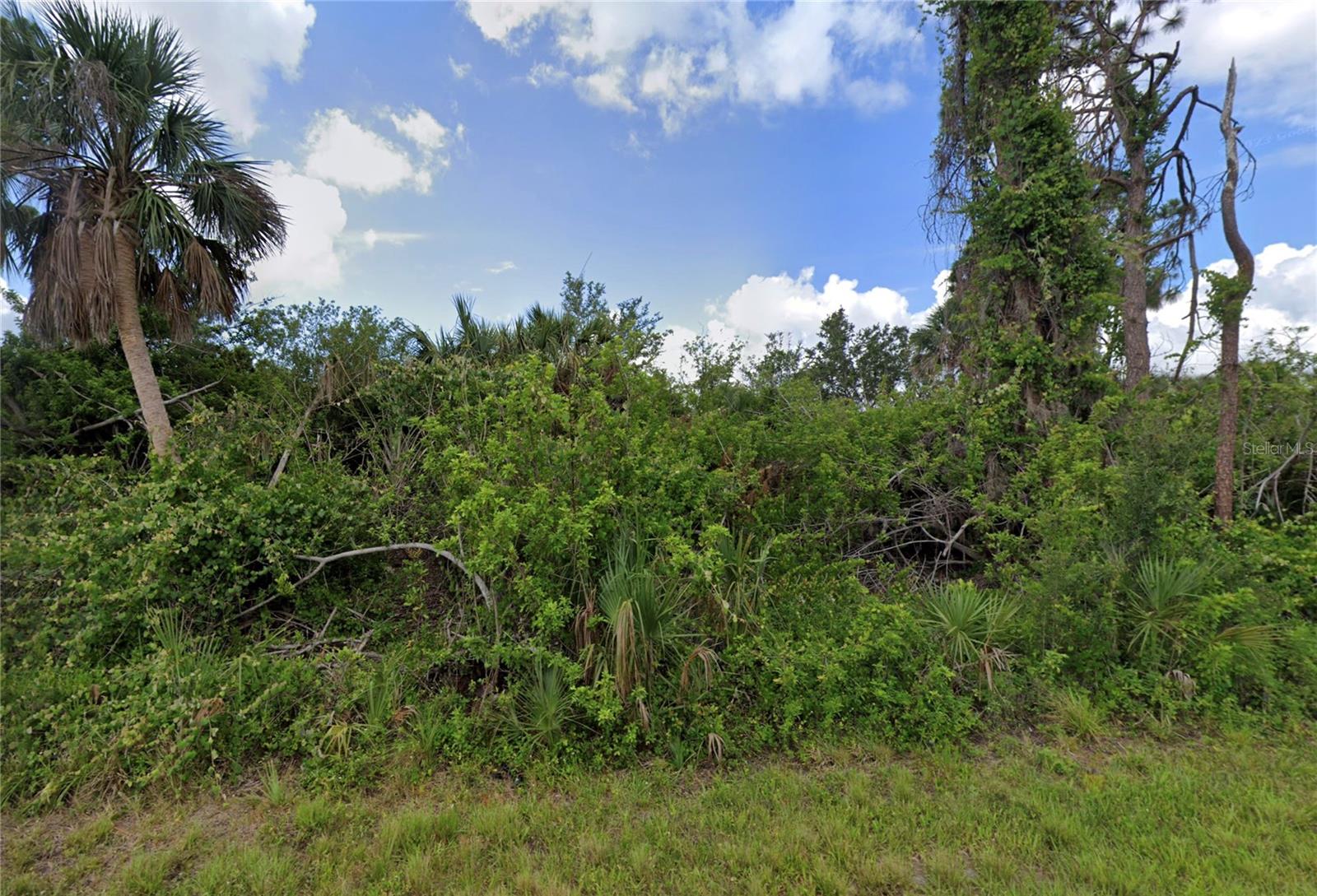 14143 STRADER AVE, PORT CHARLOTTE, FL — photo 5