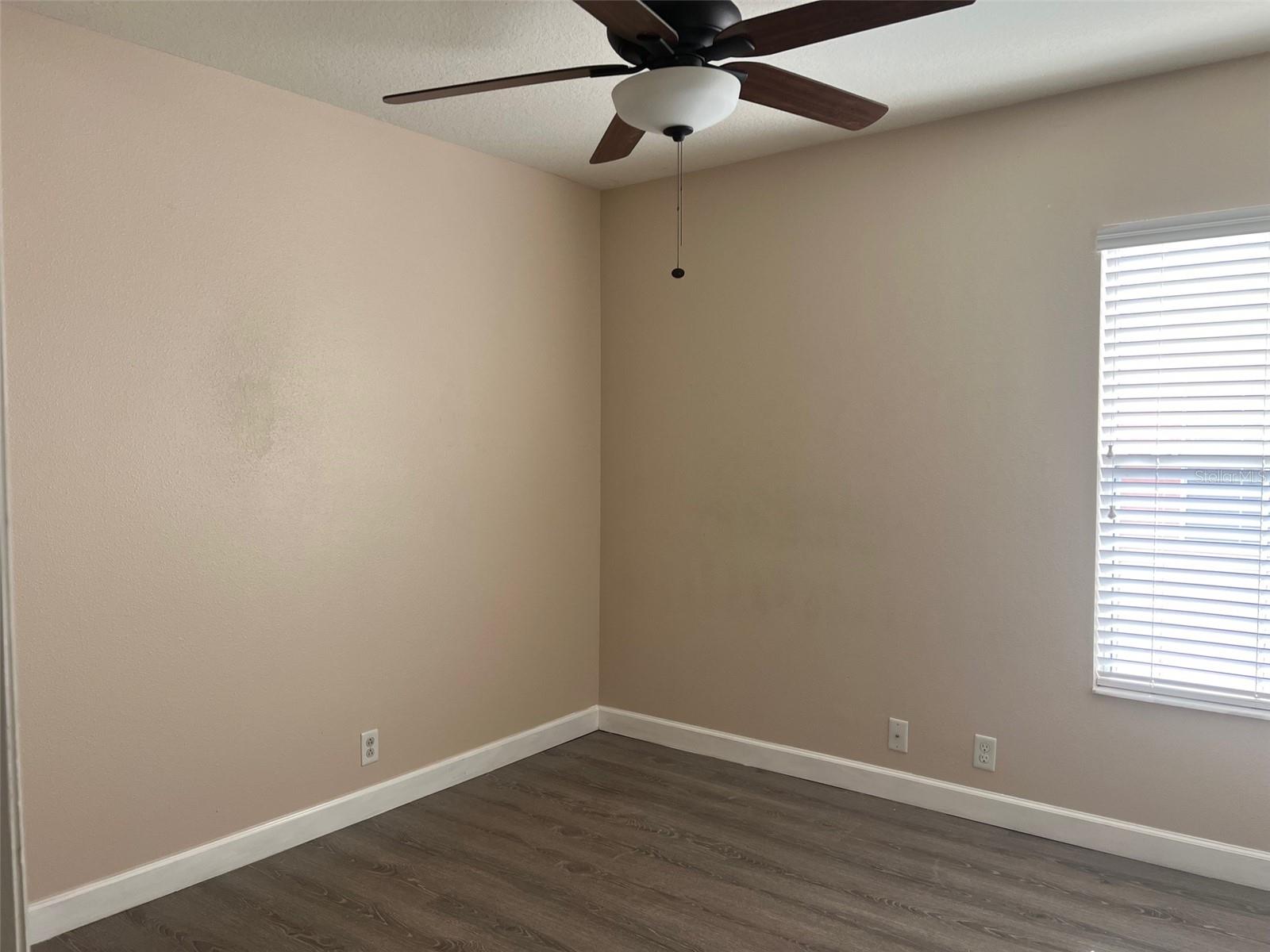 2031 SEARAY SHORE DR, CLEARWATER, FL — photo 9