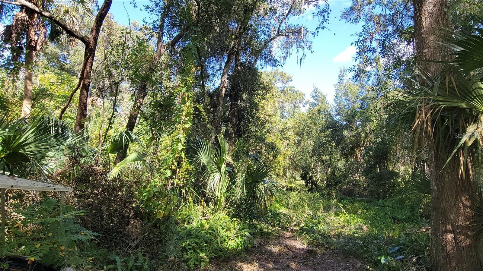 LAKEVIEW ST, DELAND, FL — photo 9