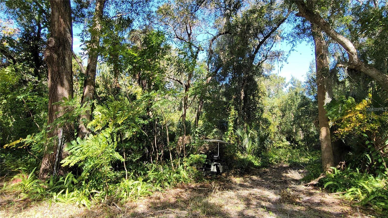 LAKEVIEW ST, DELAND, FL — photo 11