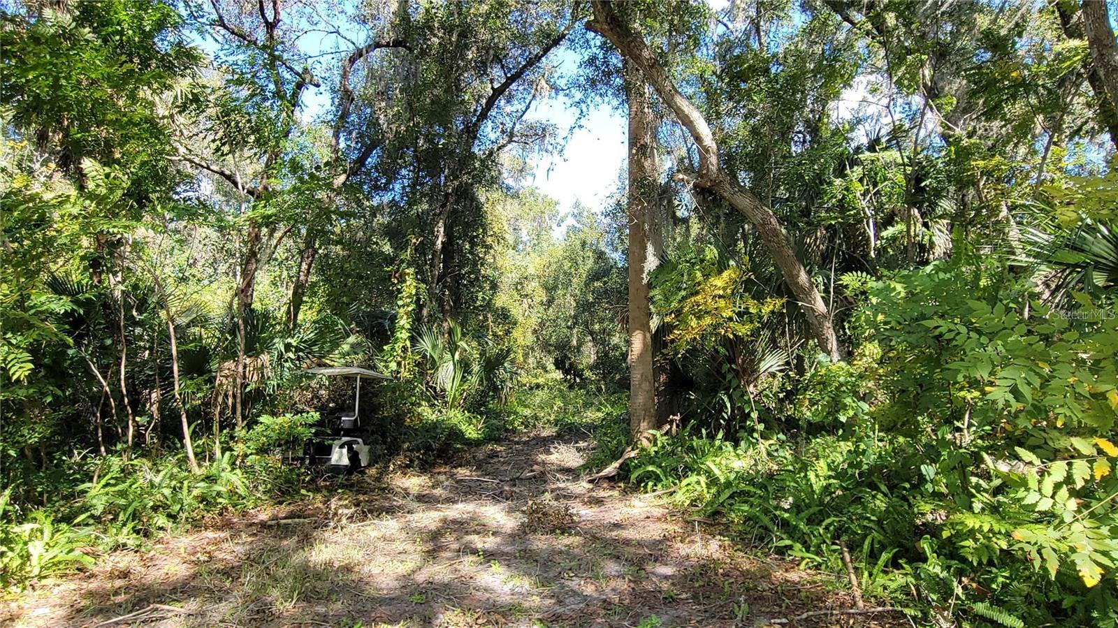 LAKEVIEW ST, DELAND, FL — photo 13