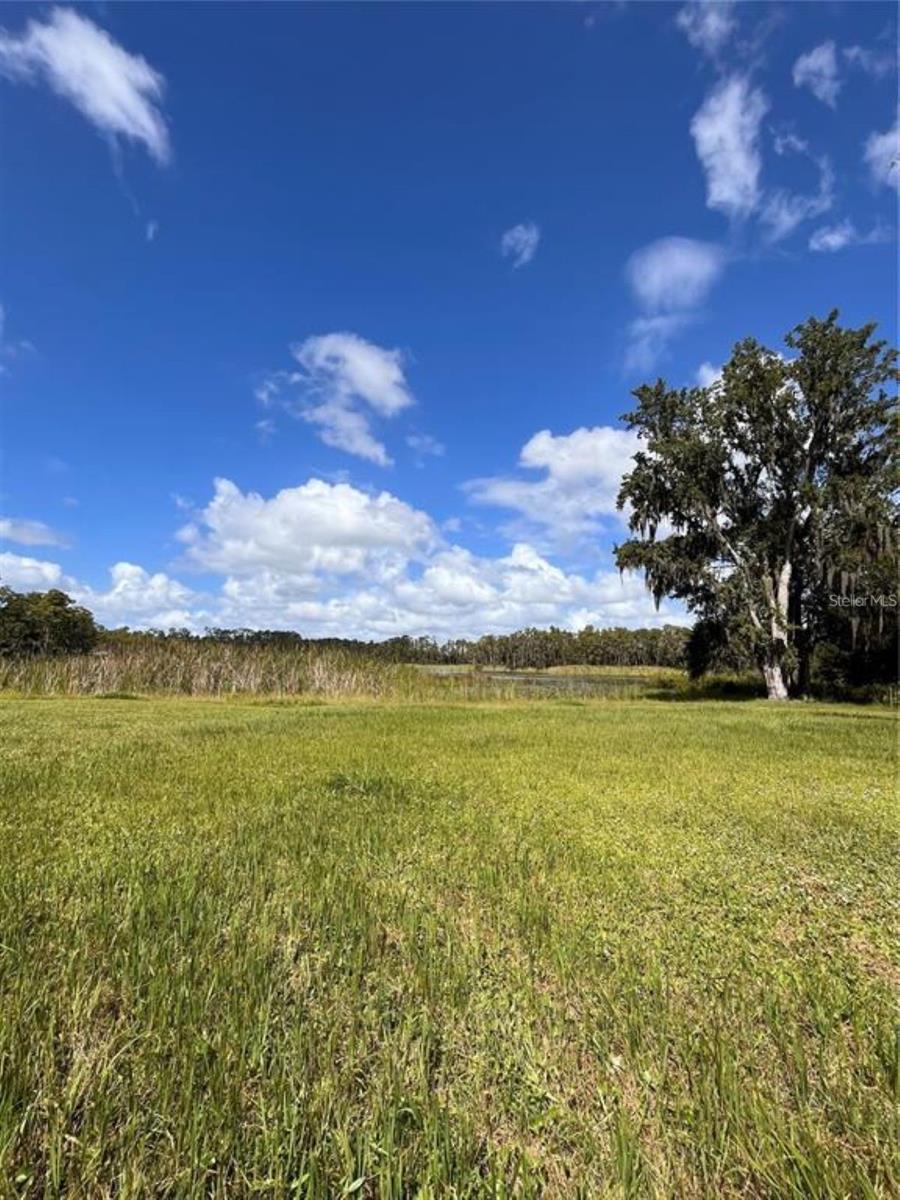 1029 VAN DYKE RD, LUTZ, FL — photo 5