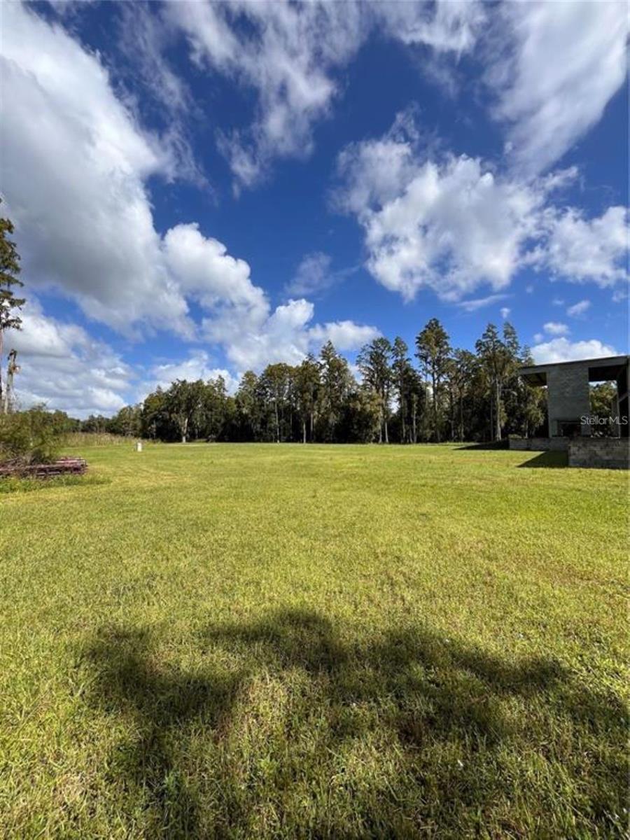 1029 VAN DYKE RD, LUTZ, FL — photo 7