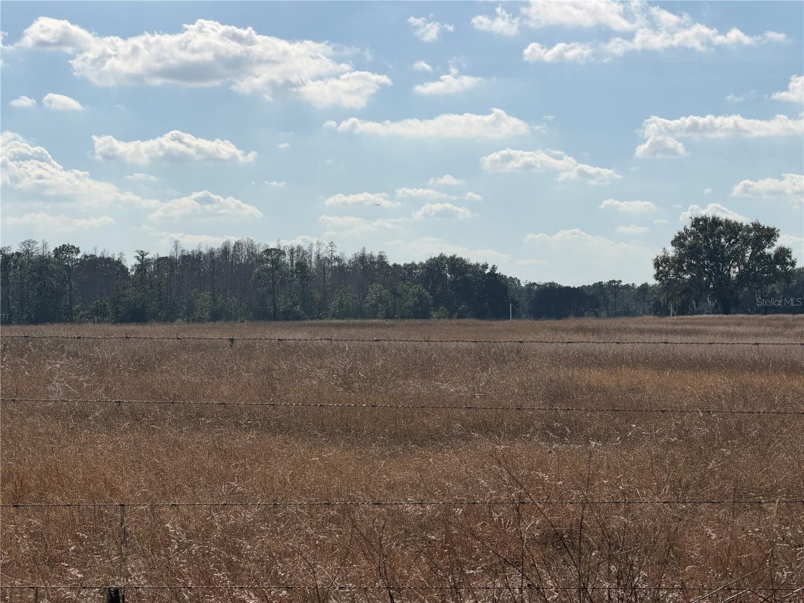 LAKE ERIE, GROVELAND, FL — photo 13