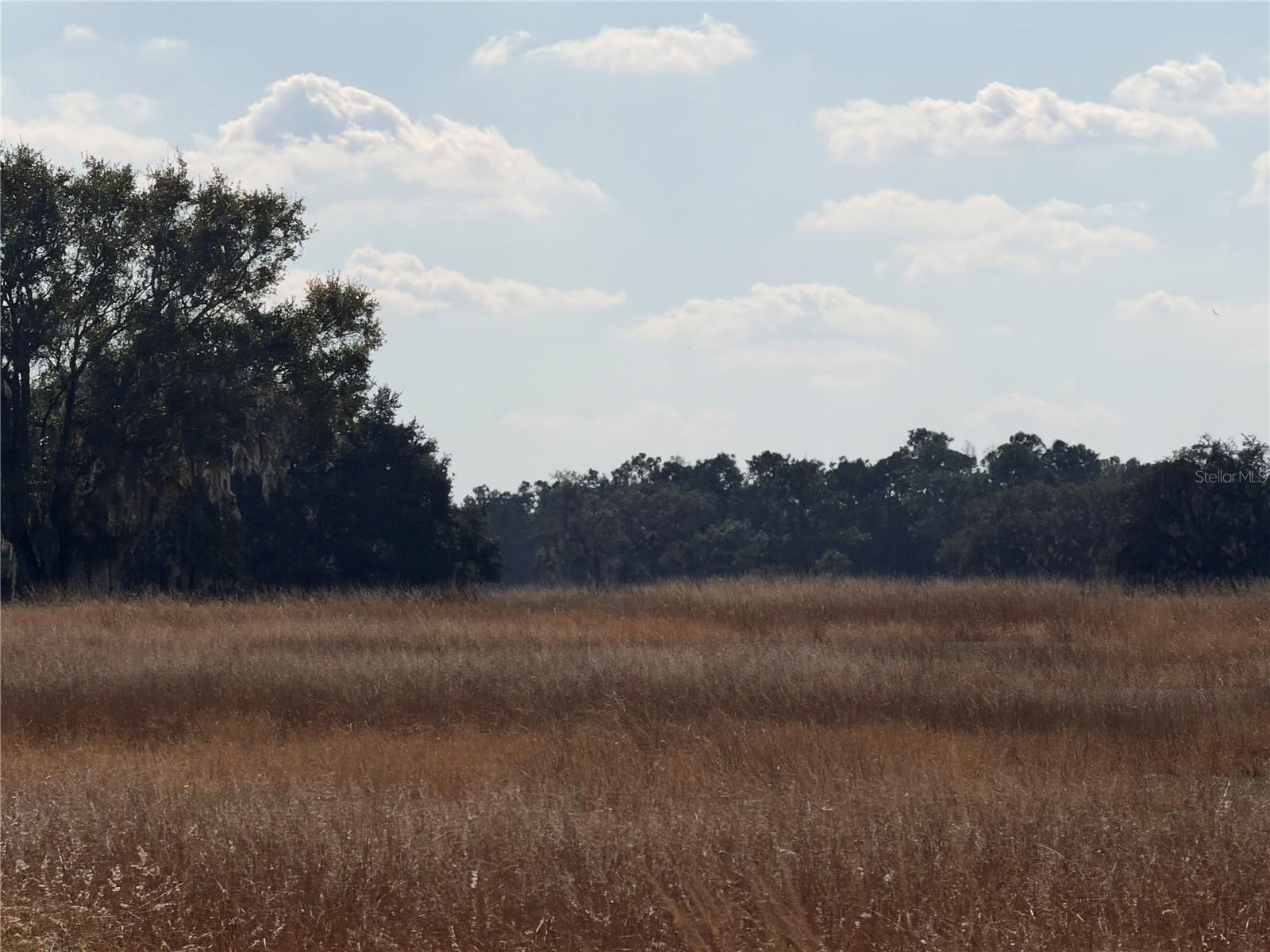 LAKE ERIE, GROVELAND, FL — photo 15