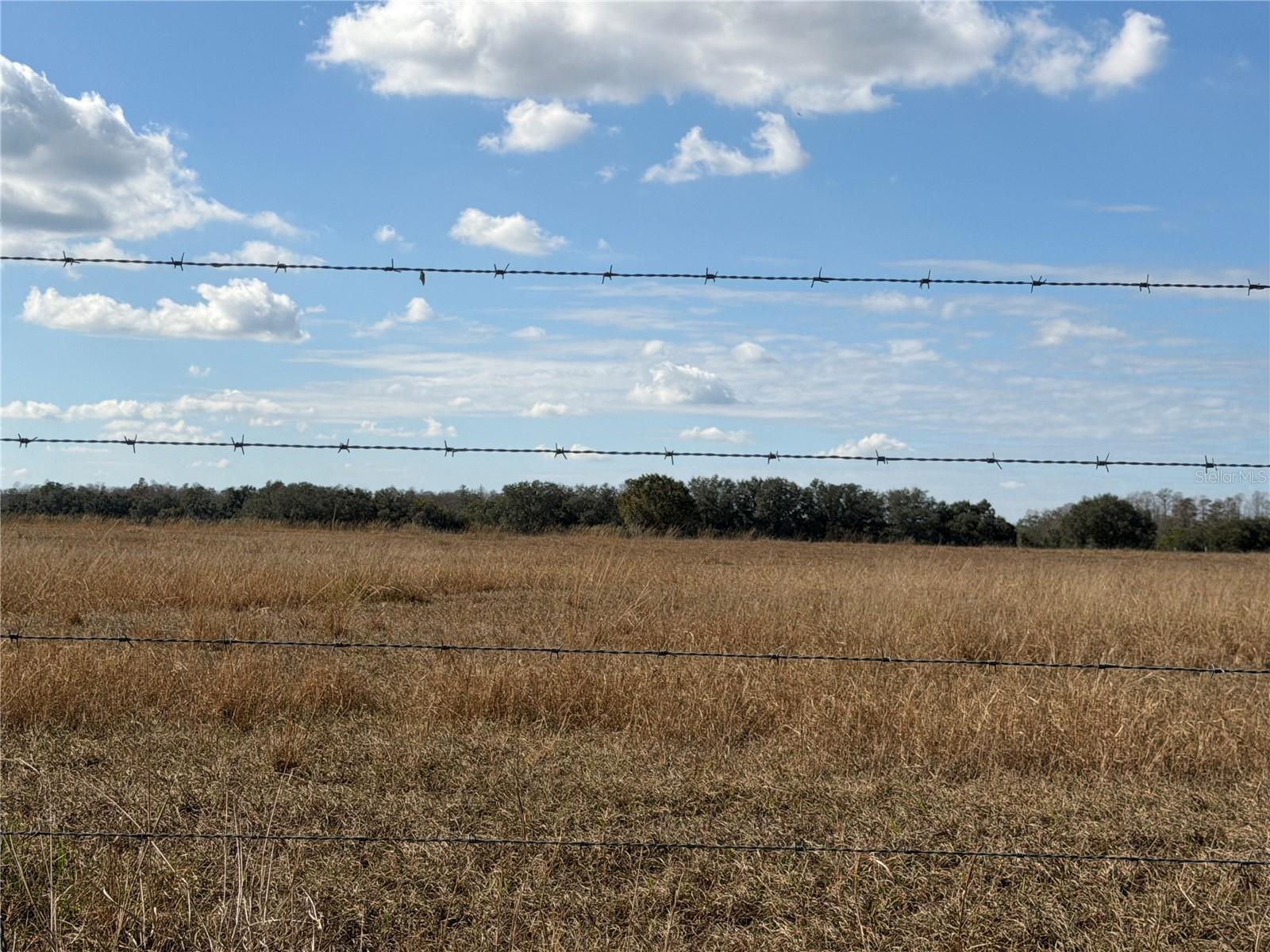 LAKE ERIE, GROVELAND, FL — photo 21