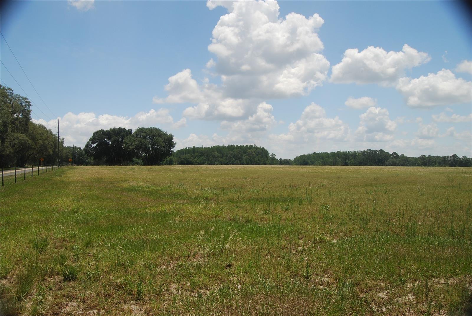 LAKE ERIE, GROVELAND, FL — photo 24