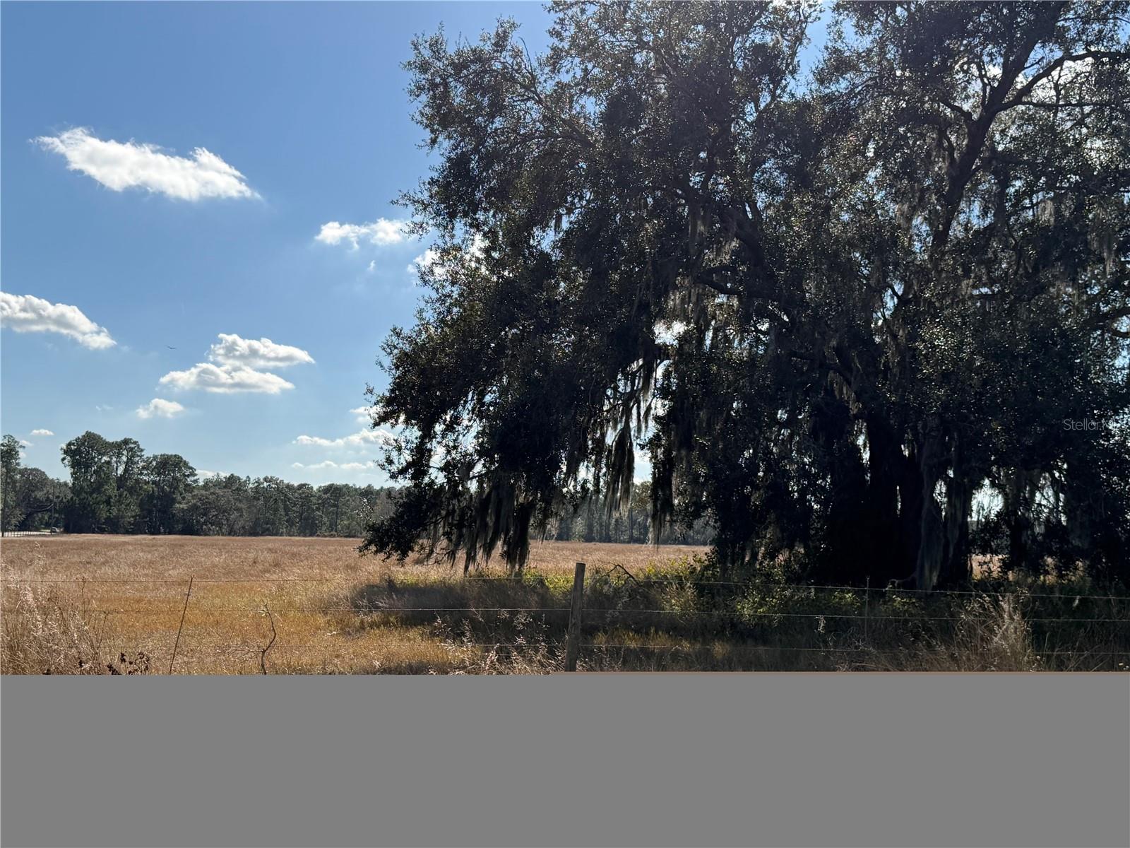LAKE ERIE RD, CLERMONT, FL — photo 7