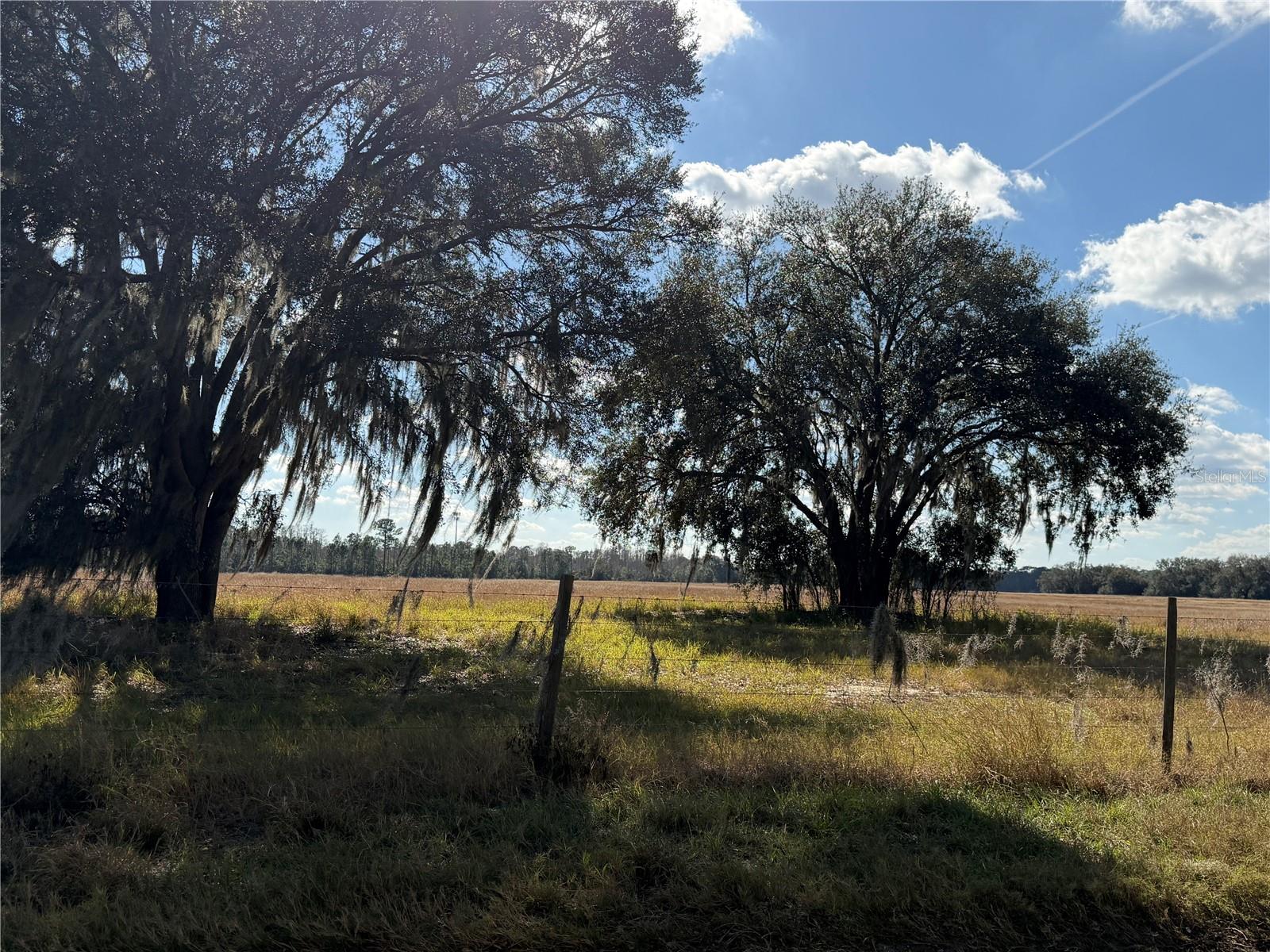 LAKE ERIE RD, CLERMONT, FL — photo 10