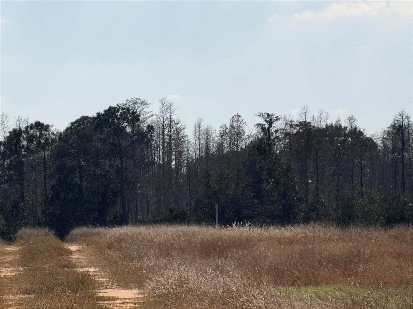 LAKE ERIE RD, CLERMONT, FL — photo 15