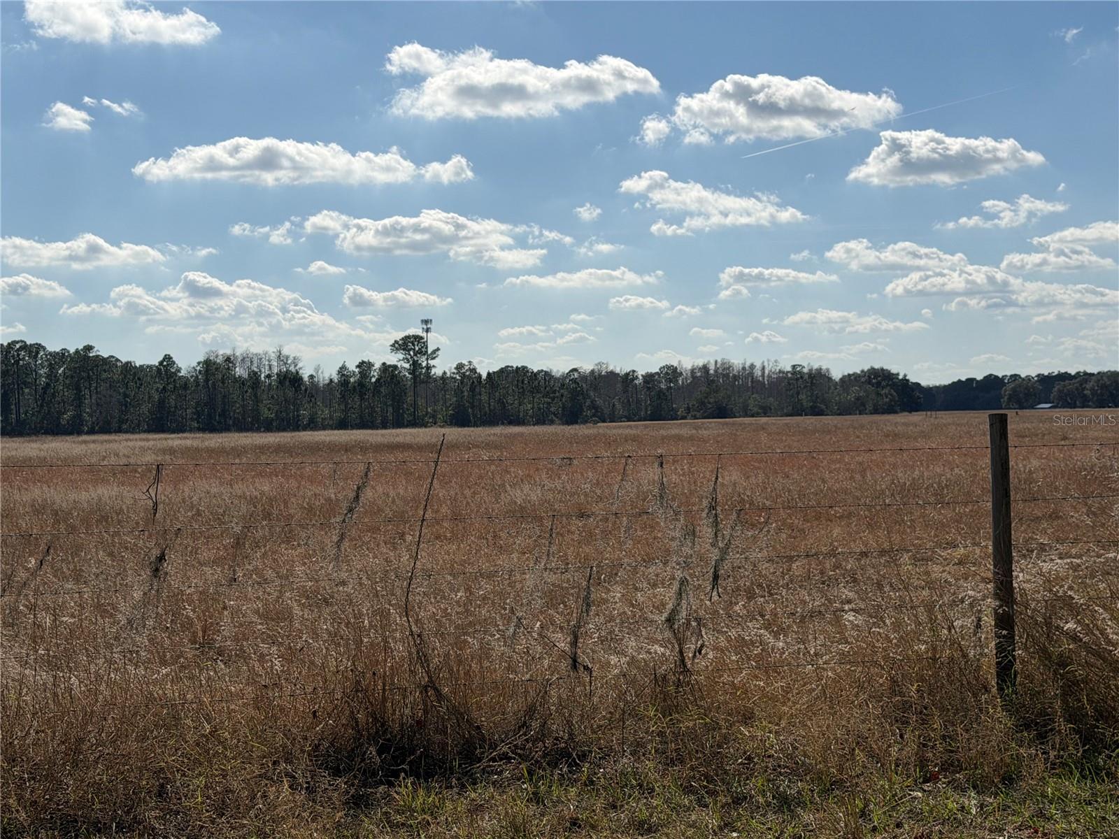 LAKE ERIE RD, CLERMONT, FL — photo 18