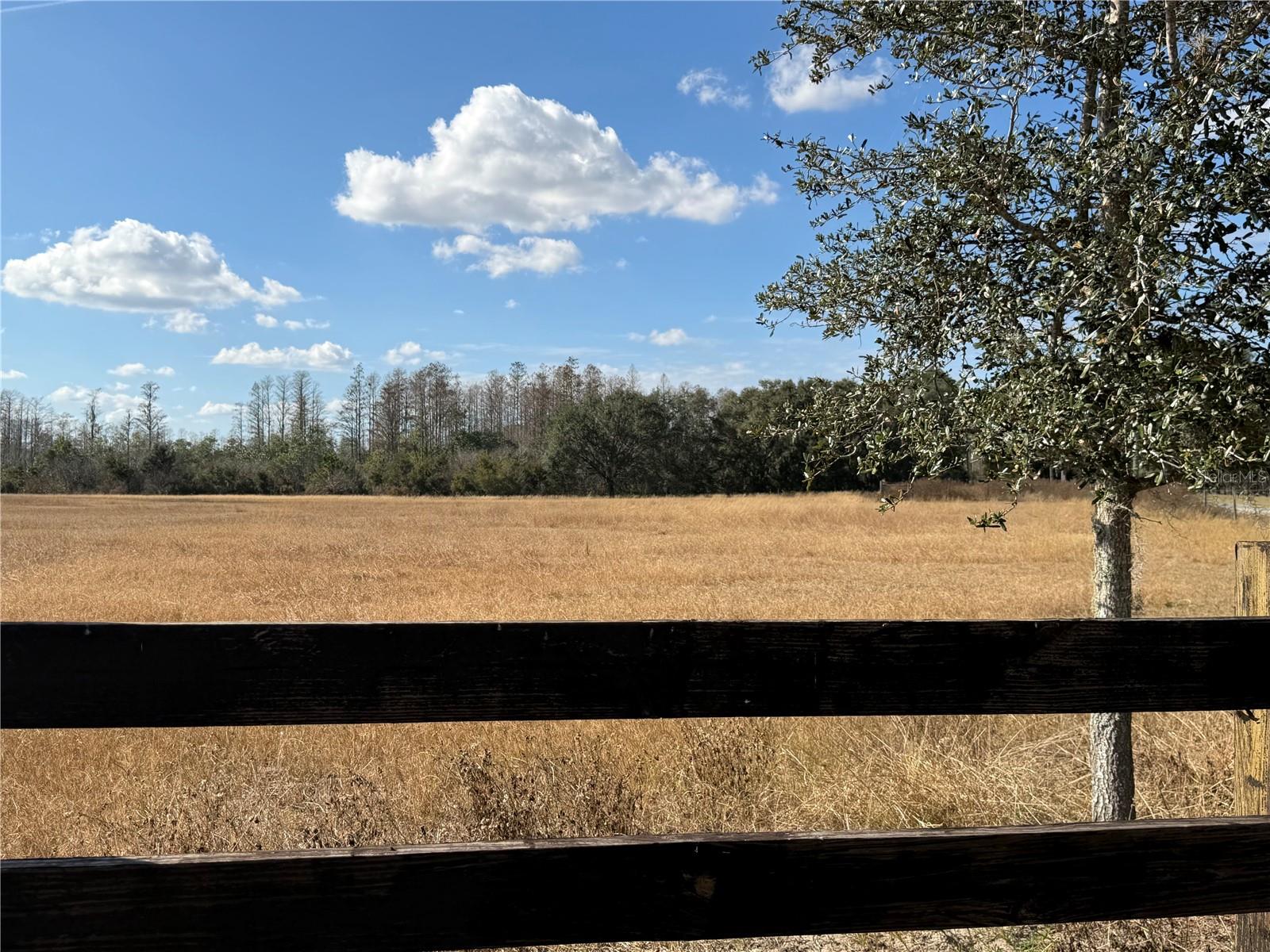 LAKE ERIE RD, CLERMONT, FL — photo 24