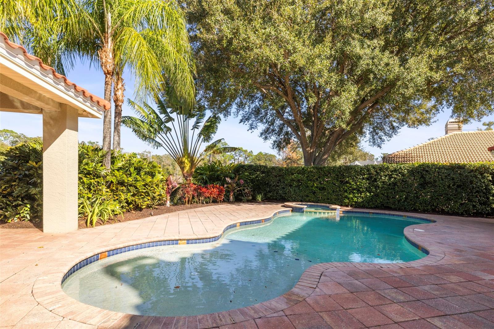 4165 MORENO DR, PALM HARBOR, FL — photo 80