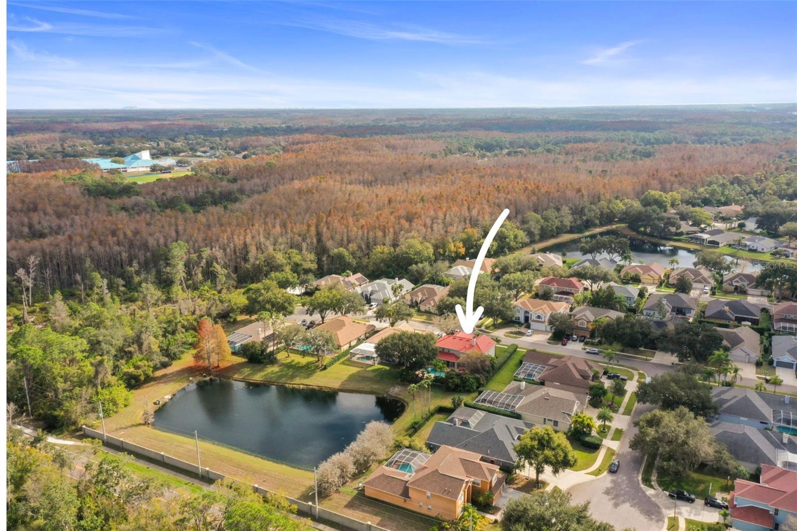 4165 MORENO DR, PALM HARBOR, FL — photo 81