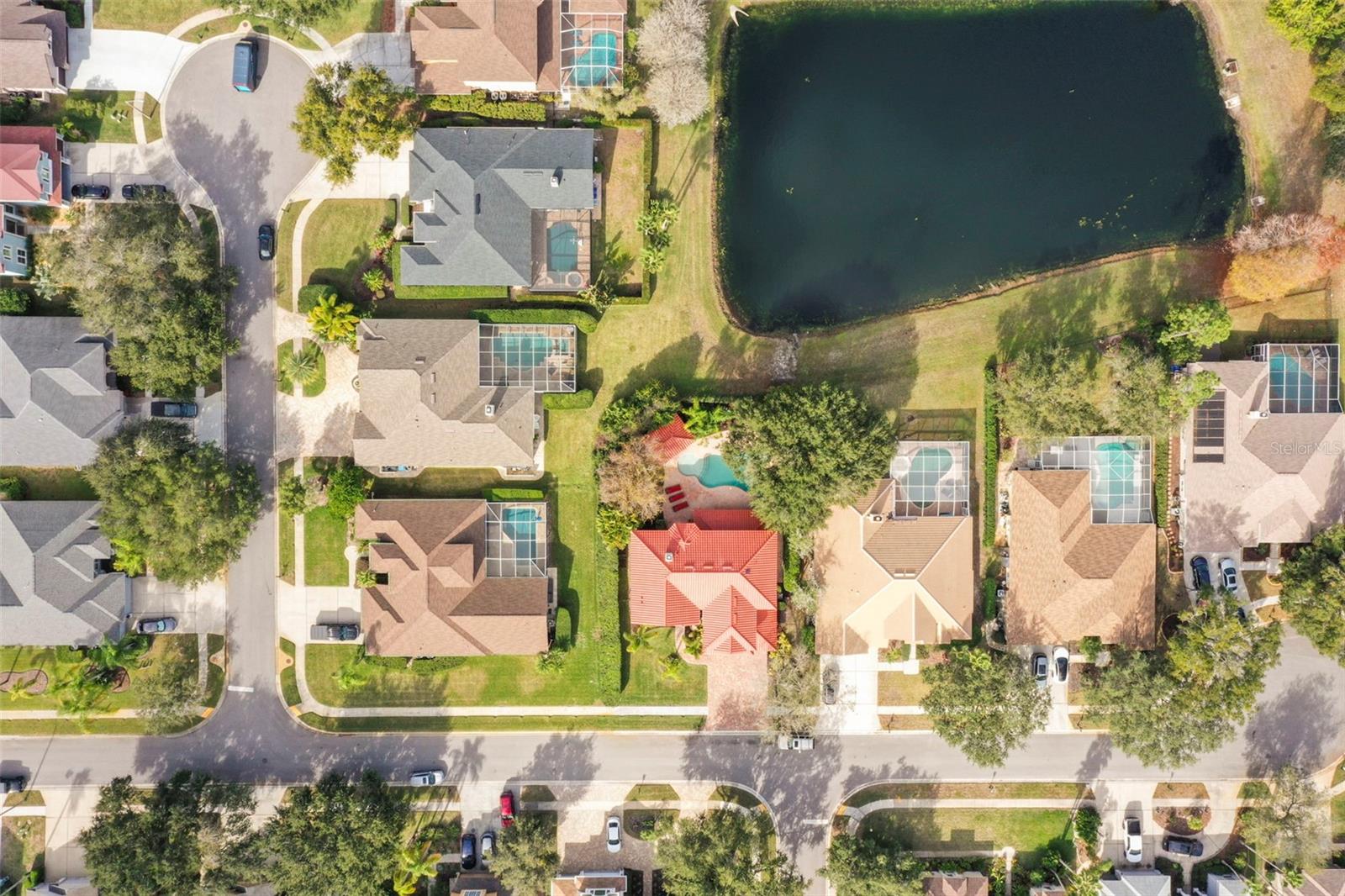 4165 MORENO DR, PALM HARBOR, FL — photo 82